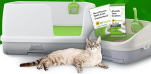 Purina Litter Box Fooji Giveaway (Working In 2025)