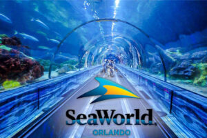 How To Get Free Admission Into Seaworld Orlando (In 2024) – Topsave