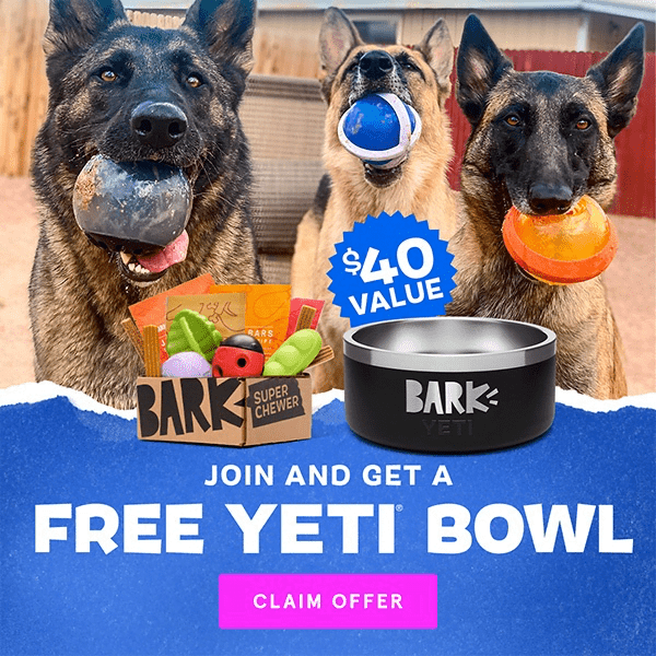 Free Yeti Dog Bowl With Bark Super Chewer Box – Topsave