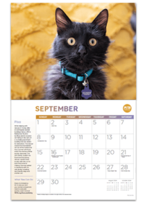 Free 2024 ‘Rescued!’ Calendar – Topsave