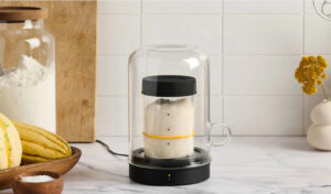 Free Sourdough Starter Kit 2025