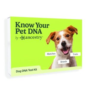 Free Dna Test For Your Dog! ($99 Value For Free!!) (Working In 2025)