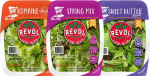 Free Revol Greens Salad Blends At Target After Rebate (Working In 2025)