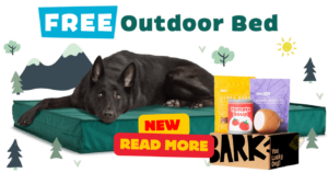 Free Waterproof Outdoor Dog Bed From Barkbox (Working In 2025)