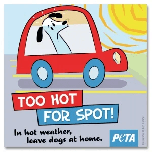 Free Too Hot For Spot Window Decal! (Working In 2025)