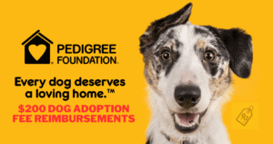 Free Dog Adoption Fee June 7-9 ($200 Reimbursement) – Topsave