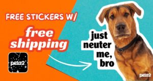 Get A Free Peta2 “Just Neuter Me, Bro” Sticker (Working In 2025)