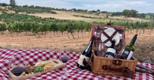 Win A Trip For 2 To Spain (Ribera Y Rueda Winery) (Working In 2025)