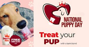 Free Bark Blend For National Mutt Day At Smoothie King! (Working In 2025)