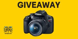 Say Goodbye To Summer Sweepstakes ( Win A Canon Eos Rebel T7 Dslr Camera ) (Working In 2025)