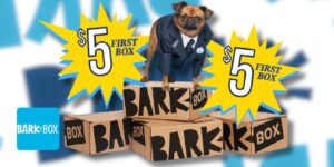 Try Out Barkbox For Only $5 (Limited Time Offer) (Working In 2025)