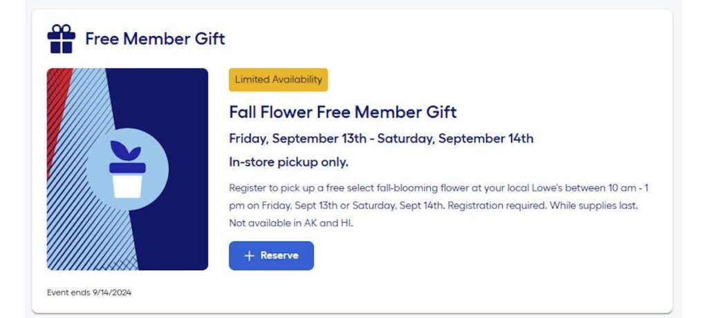 Free Fall-Blooming Flower At Lowe’s (Working In 2025)