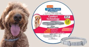 Get A Free Hartz 2-Pack Ultraguard Promax Flea &Amp; Tick Dog Collars! (Working In 2025)