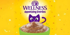 Free Wellness Appetizing Entrées Cat Food Sample With Send Me A Sample (Working In 2025)