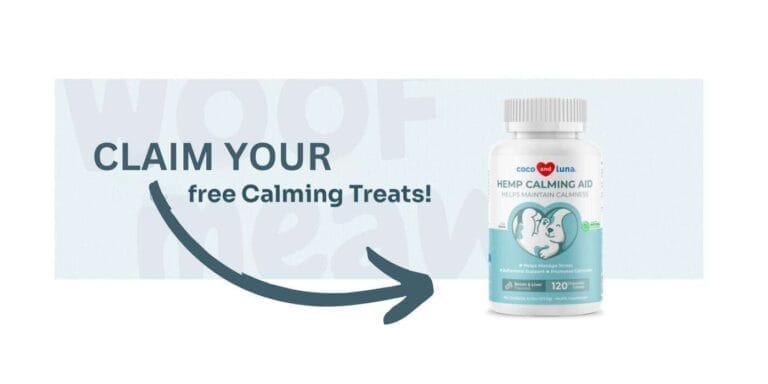 enter 2 win 1 1 21