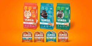 Free Bag Of Iams Proactive Health Kitten Food – Topsave