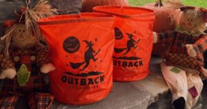 Get 2 Free Outback Steakhouse Bloomin’ Boo Baskets (Perfect Candy Bucket!) (Working In 2025)