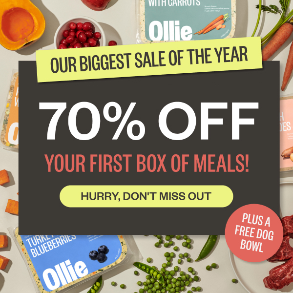 Ollie’s Biggest Sale Of The Year Is Ending Soon – Act Fast! – Topsave