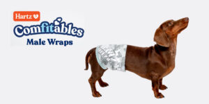 Possible Free Hartz Comfitables Male Dog Wraps – Topsave