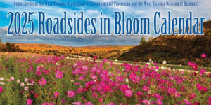 Free 2025 Roadsides In Bloom Calendar – With Free Shipping! (Working In 2025)