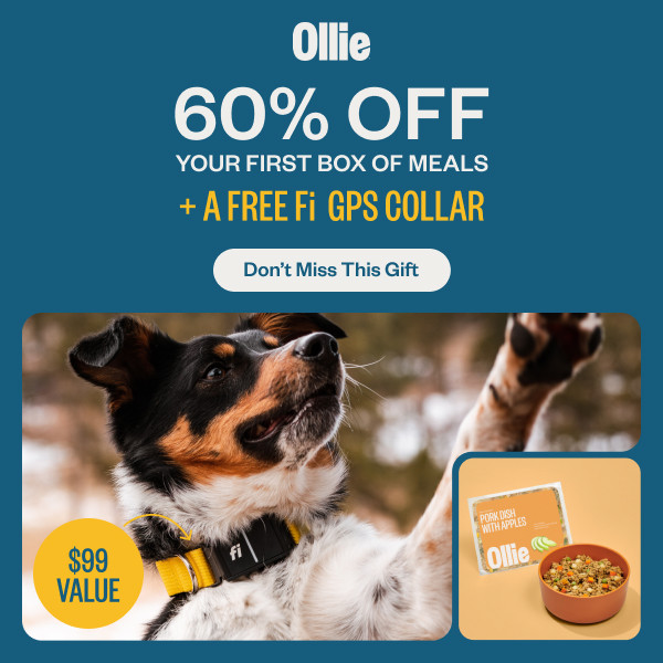 Free Fi Gps Collar ($99 Value) + 60% Off With Your First Starter Box With Ollie (Working In 2025)