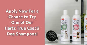 Free Sample Of Hartz True Coat Dog Shampoo (Working In 2025)