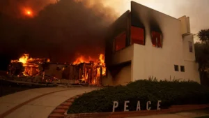 Free Housing For Los Angeles Wildfire Evacuees Through Airbnb.org (Working In 2025)