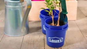 Free Mini Lowe’s Bucket + 20% Off Coupon On February 1St! (Working In 2025)