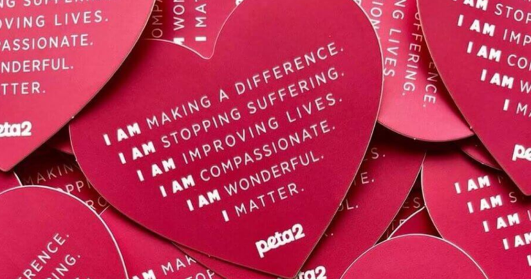 peta 2 heartfor animals stickers