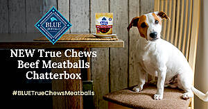 Apply To Be A Blue Buffalo True Chews Beef Meatballs Chatterbox With Ripple Street