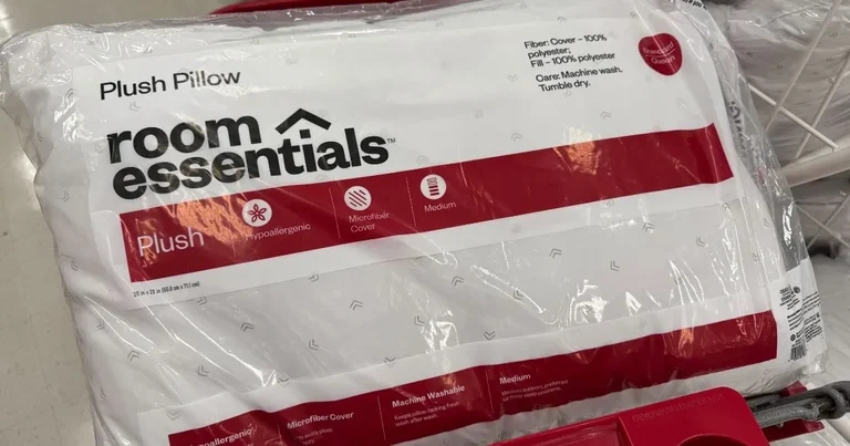 Target Pillows Only $2 – Ends Tonight! – Topsave