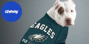 Chewy Is Offering Free Pet Treats &Amp;Amp; Donations If The Eagles Win Super Bowl Lix 2025