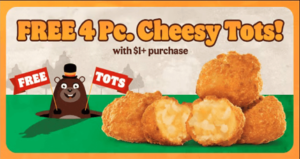 Free 4 Pc Cheesy Tots With $1 Purchase At Burger King – Today Only!  (Working In 2025)