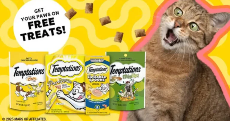 Free Temptations Cat Treats – 4 Flavors To Choose From! 2025