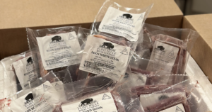 bison 1