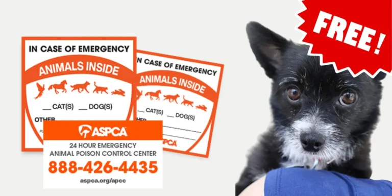 Free Aspca Pet Safety Pack