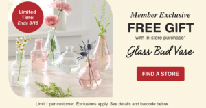 Free $5 Off + Free Glass Bud Vase at World Market (with Purchase)