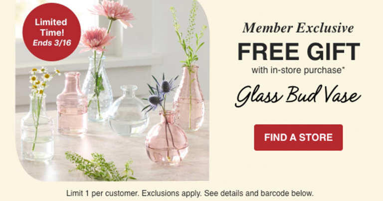 Free $5 Off + Free Glass Bud Vase At World Market (With Purchase)