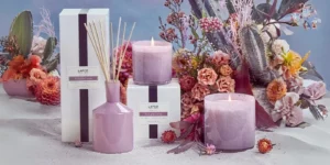 lafco-giveaway-2025