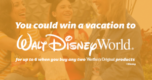 walt disney world