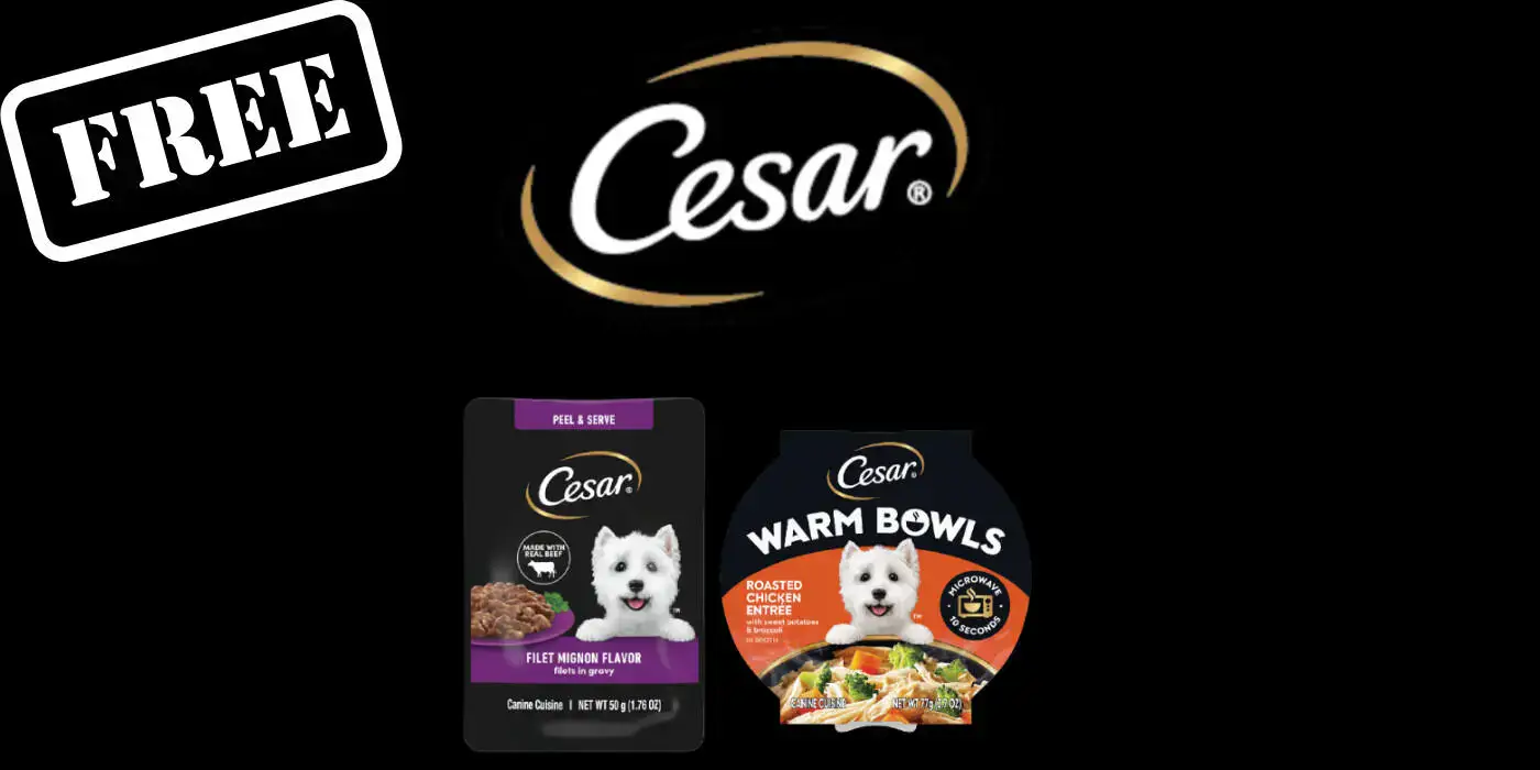 image-loading image-loading