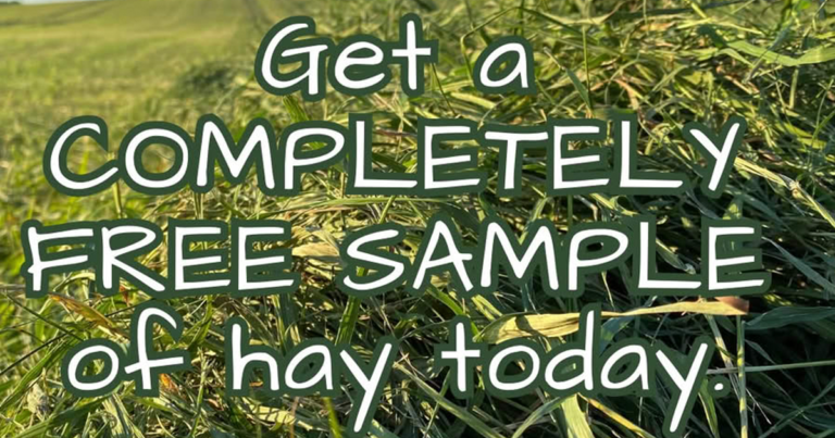 Free Farmer Dave Pet Supply Hay Samples – Perfect For Small Pets