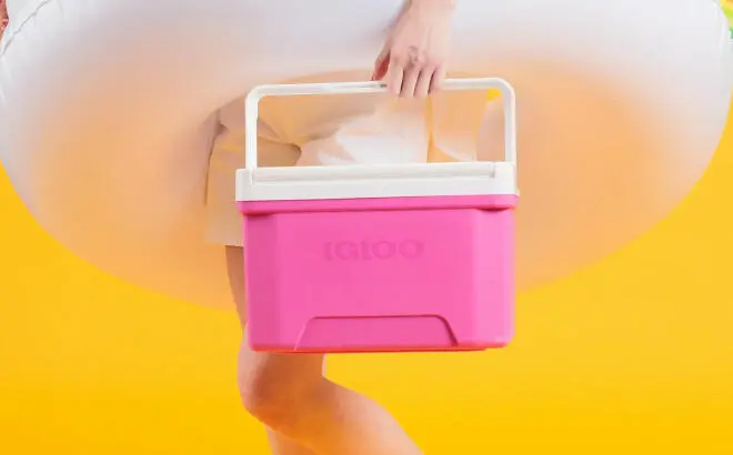 A Person Holding an Igloo Small Cooler 9 Quart Laguna Ice Chest