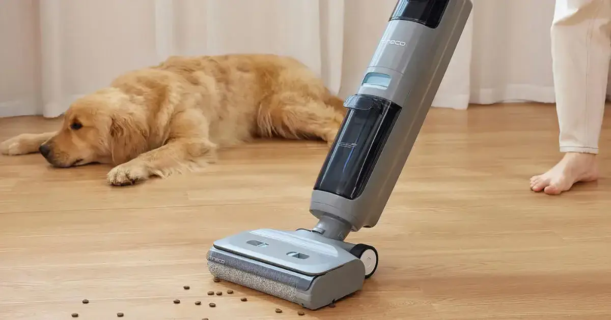 image-loading image-loading