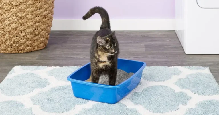 petsafe