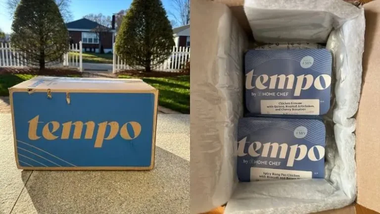 tempo review h1