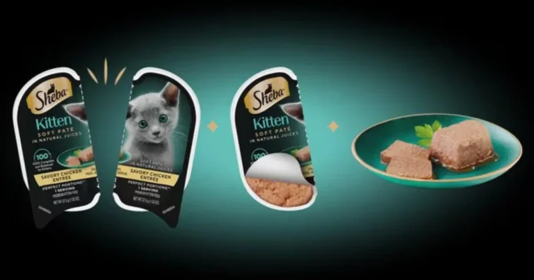 SHEBA PERFECT PORTIONS Kitten Soft Pate Wet Cat Food Sample 1