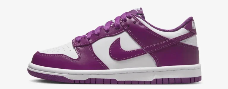 Nike Dunk Low Big Kids Shoes