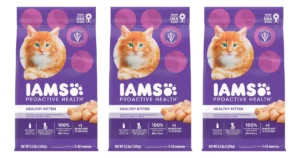 IAMS Kitten Dry Food