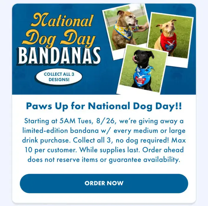 Free Limited-Edition Dog Bandanas TOMORROW at Dutch Bros